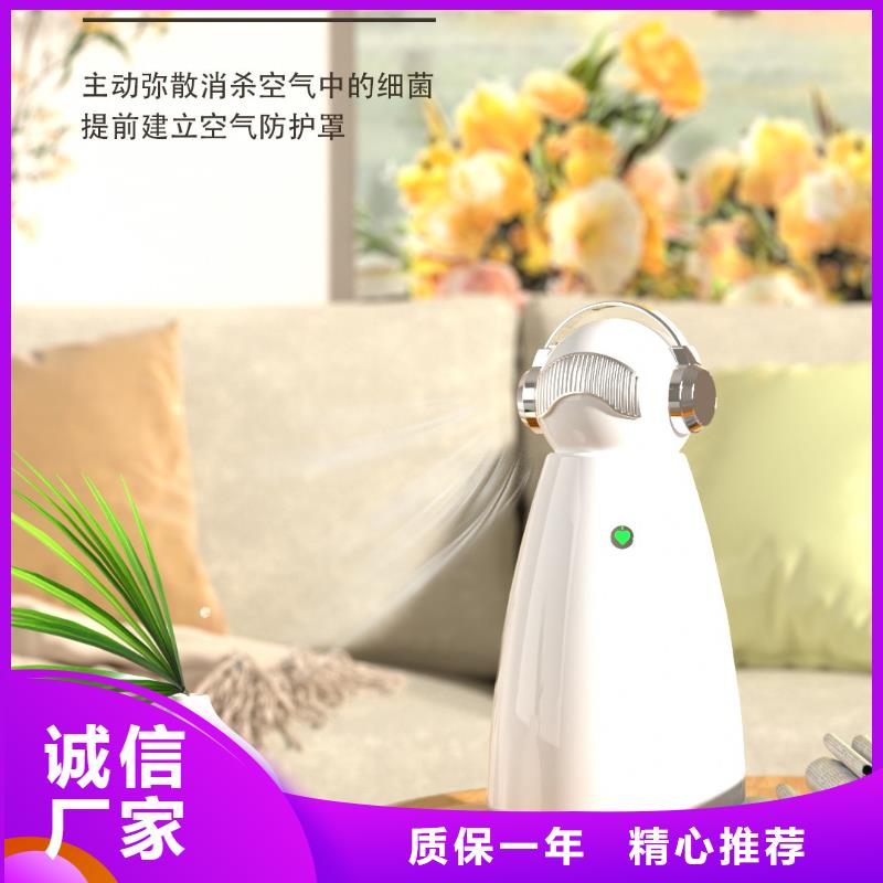 小白祛味王【无臭养宠】现货批发