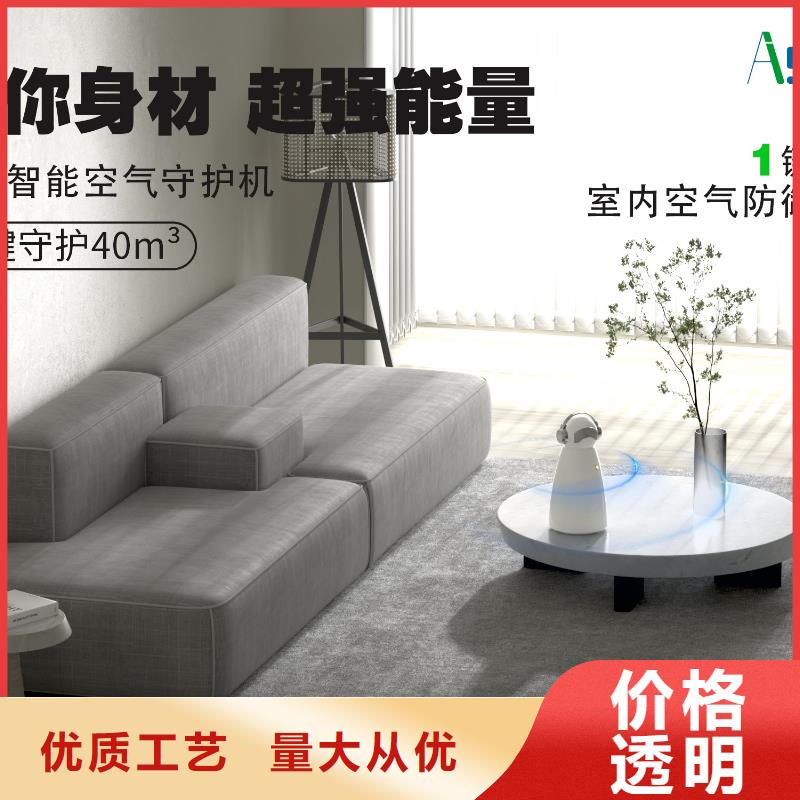 小白祛味王【无臭养宠】现货批发