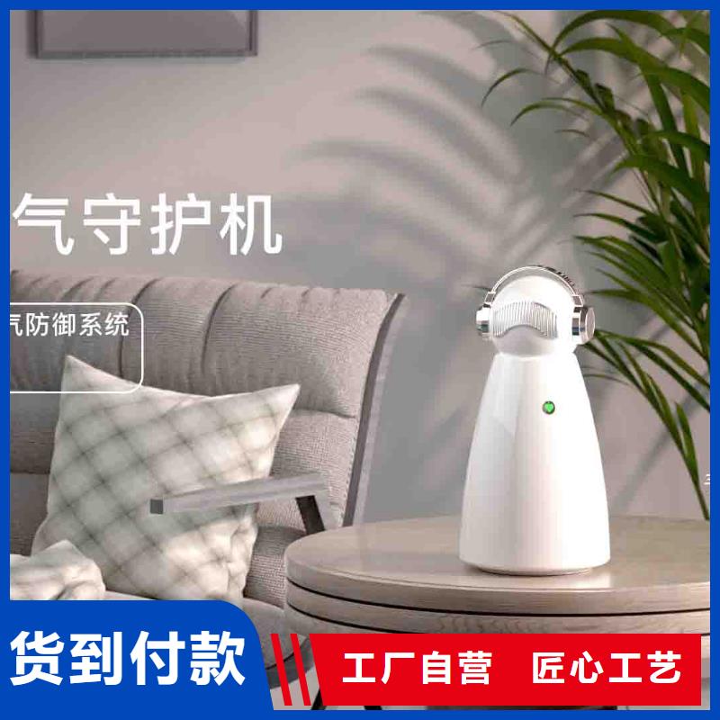 小白孕妇空气守护机_【车载空气净化器销售】发货及时