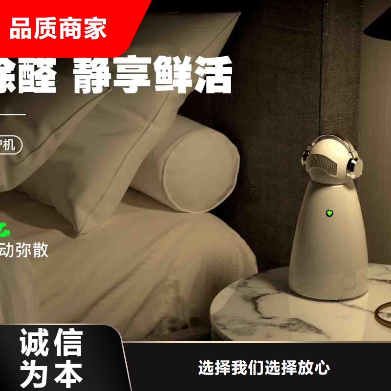 小白孕妇空气守护机_【车载空气净化器销售】发货及时