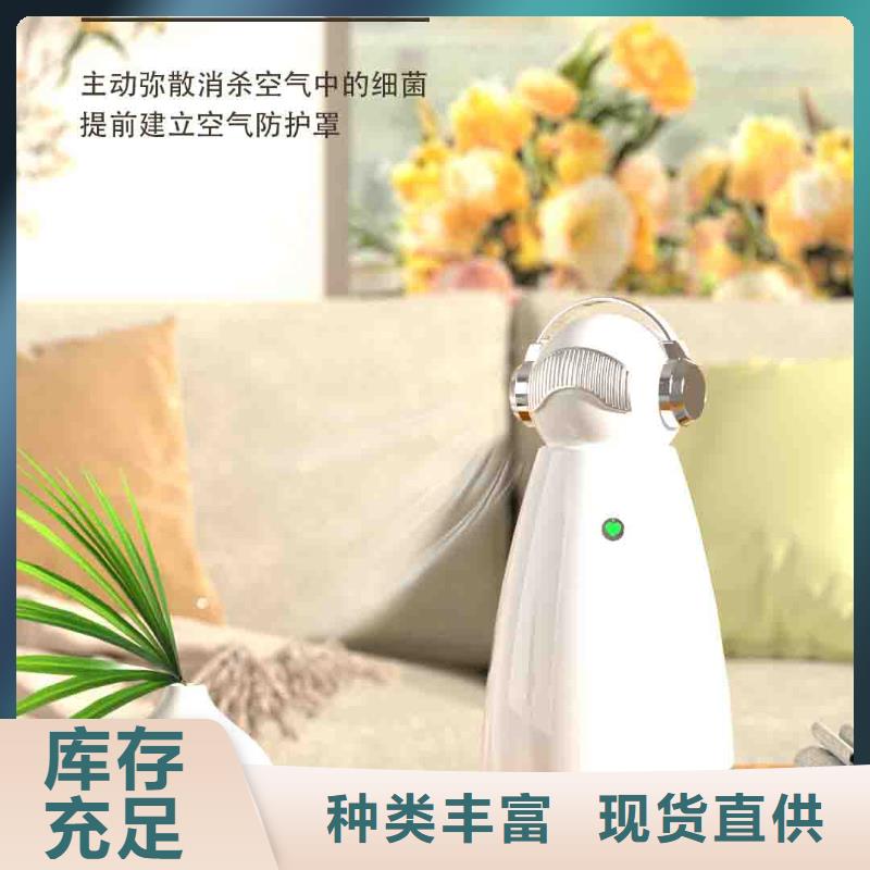 小白孕妇空气守护机车载空气净化器批发优选好材铸造好品质