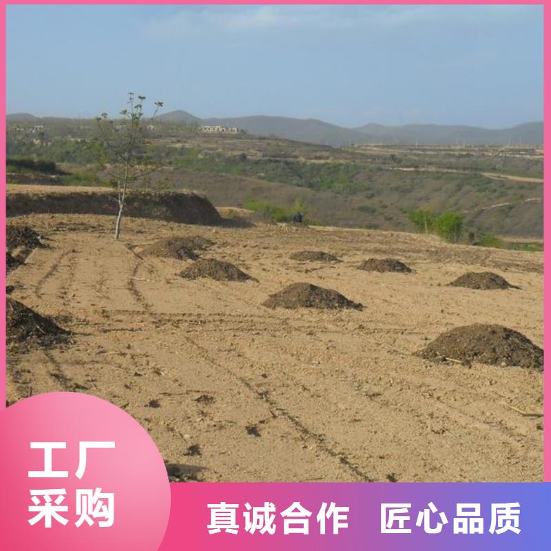 干鸡粪养分高