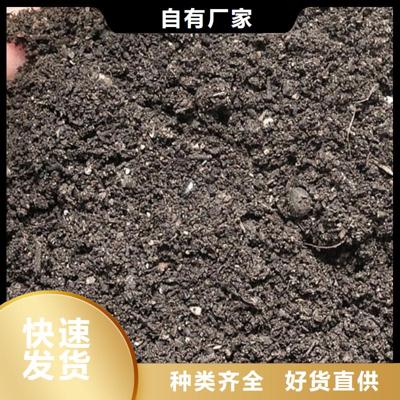 有机肥货好