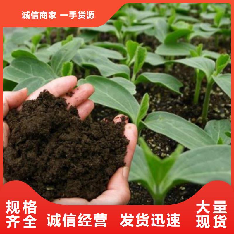 肥水鸡粪实惠