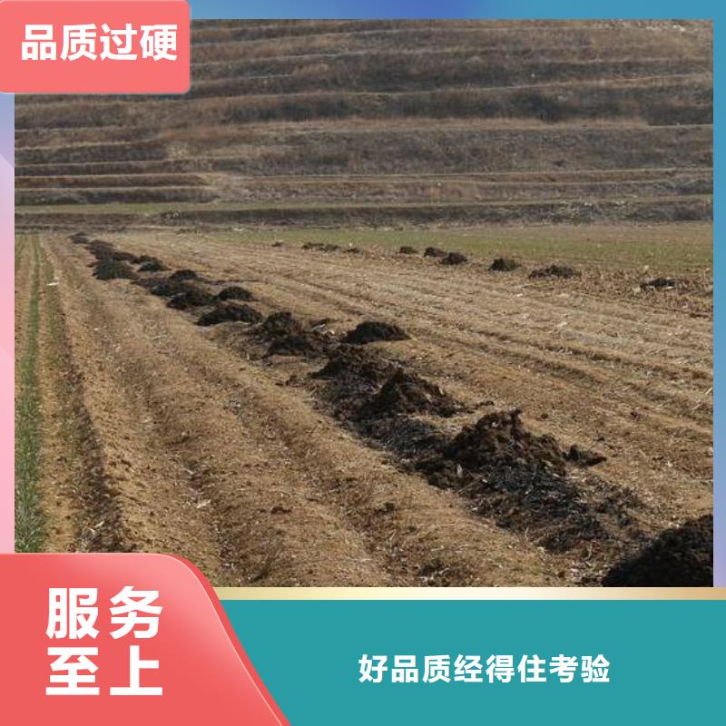 菏泽商丘新乡发酵鸡粪肥沃庄稼地土壤