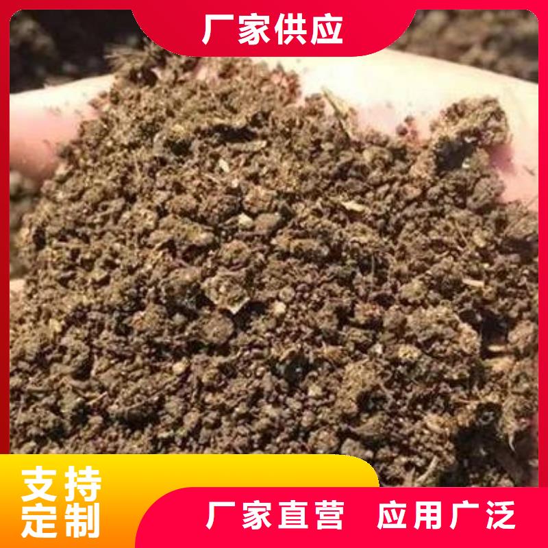 晒干鸡粪怎么买
