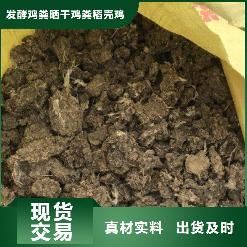 晒干鸡粪园林绿化用着好