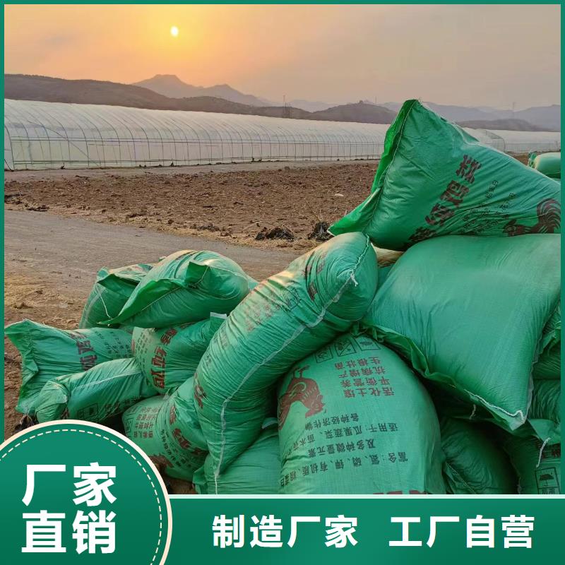 干鸡粪首页