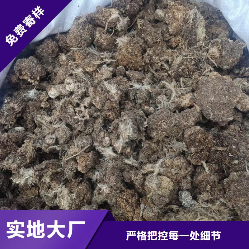 干鸡粪市场在哪里