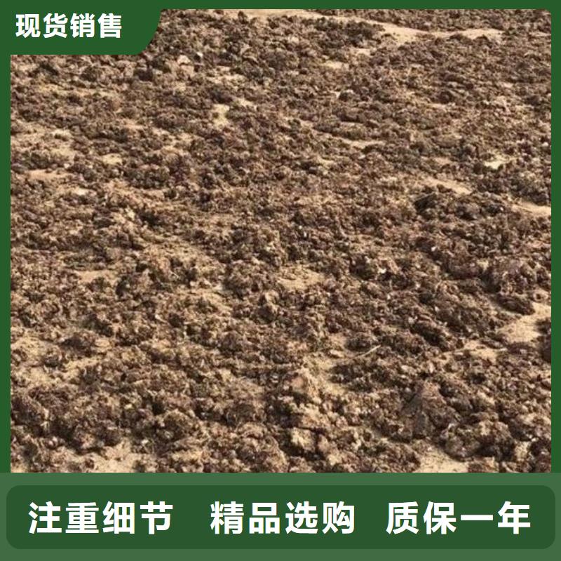稻壳鸡粪促花保果