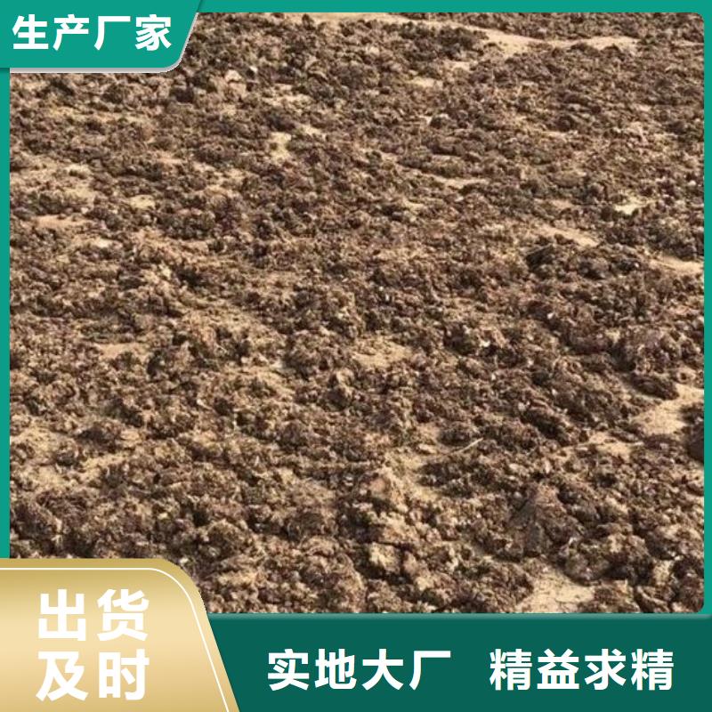 生物有机肥改善苹果口感
