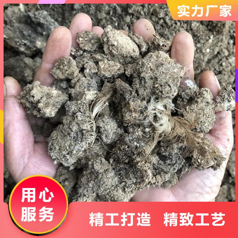 干鸡粪供应商