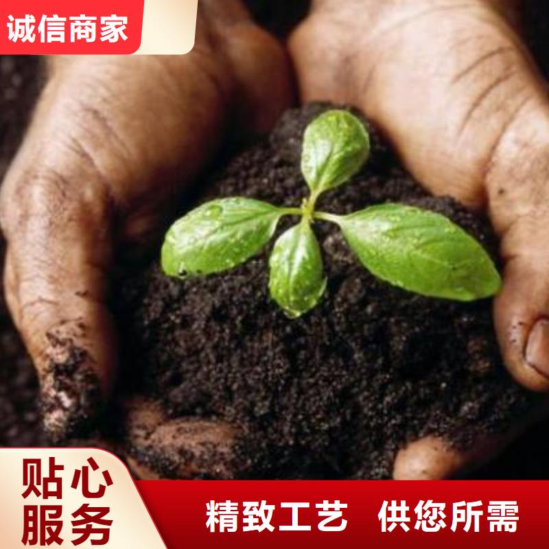 鸡粪【发酵鸡粪】随到随提