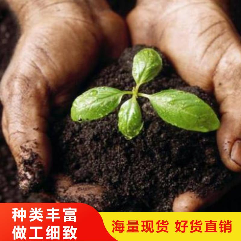 发酵羊粪销售价格