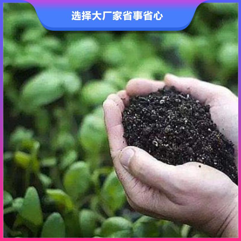 肥水鸡粪增加黄瓜产量