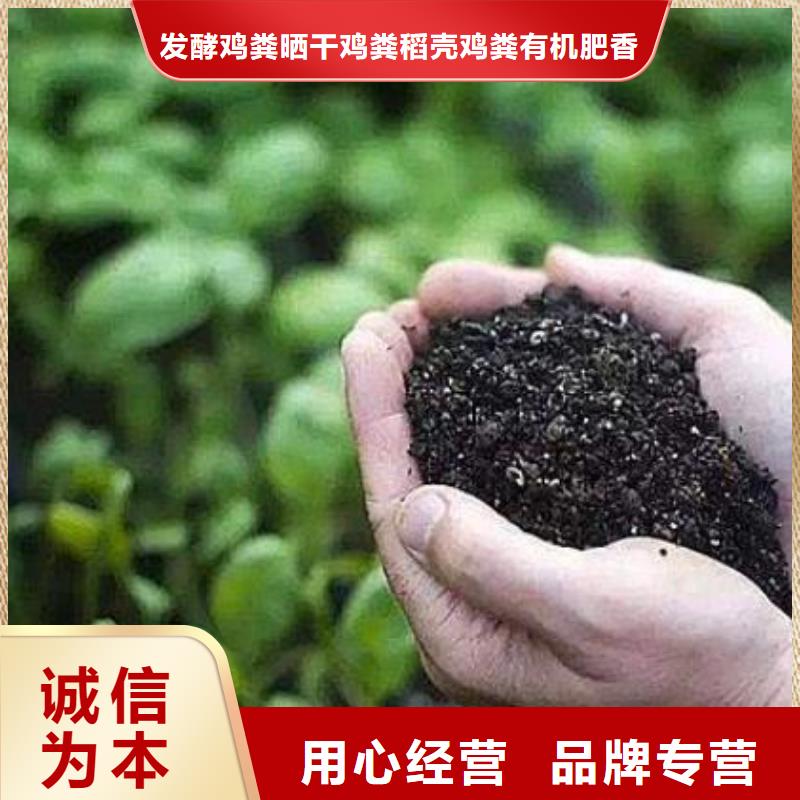 发酵羊粪销售价格