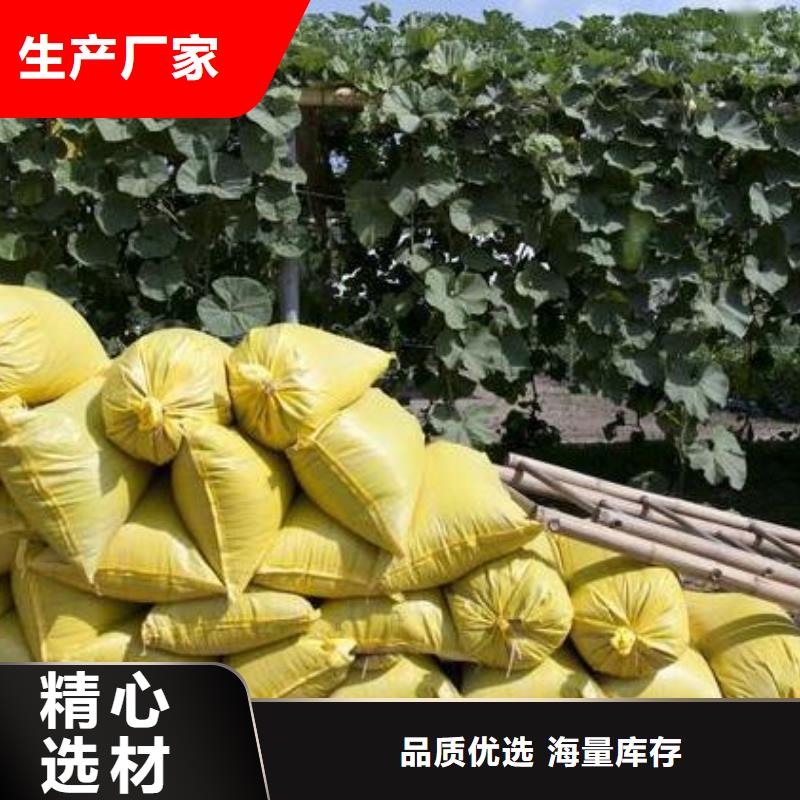 肥水鸡粪增加黄瓜产量