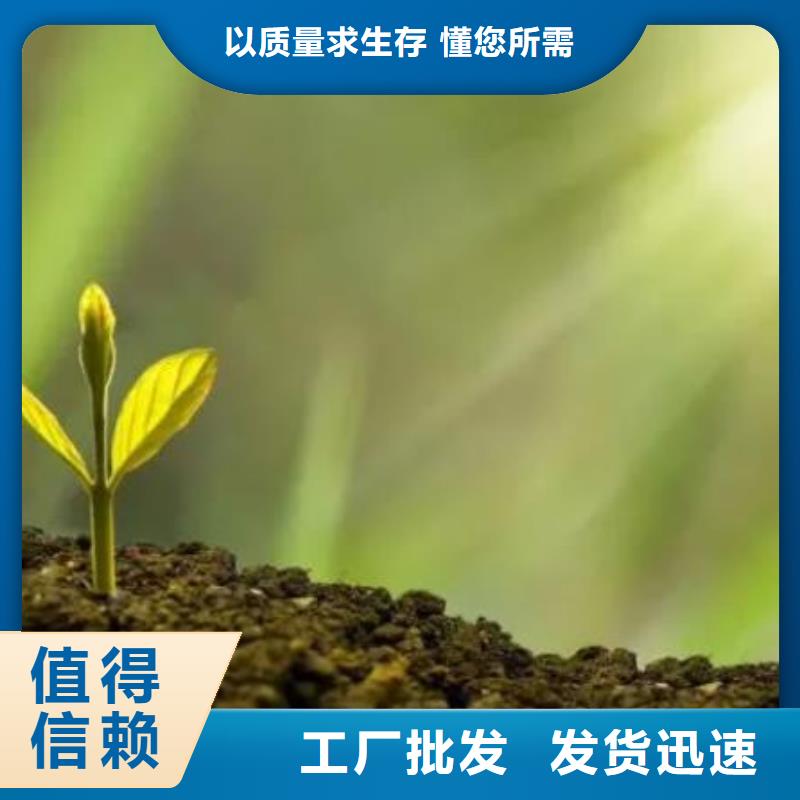 稻壳鸡粪促花保果
