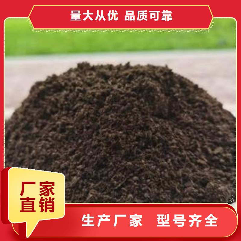肥水鸡粪增加黄瓜产量