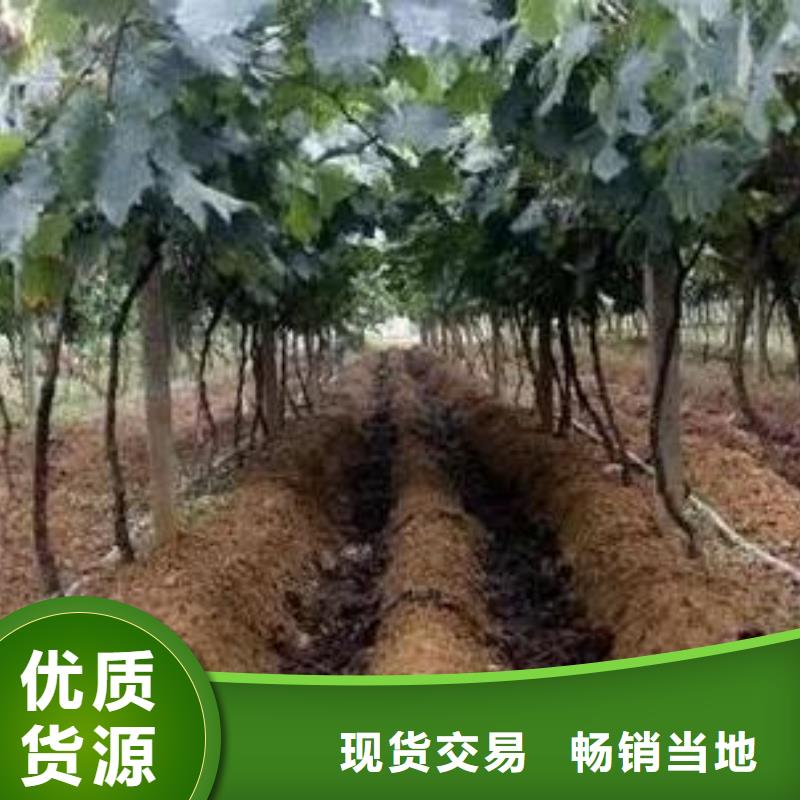 有机肥销量好