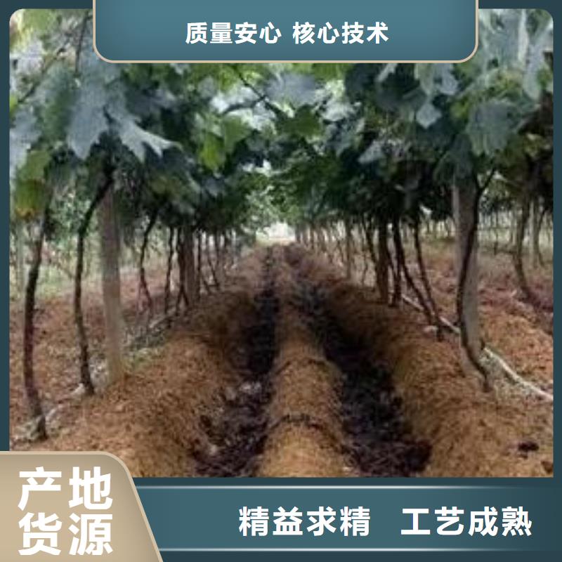 肥水鸡粪专家指导