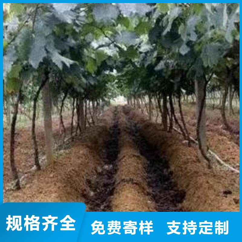 有机肥用着不错