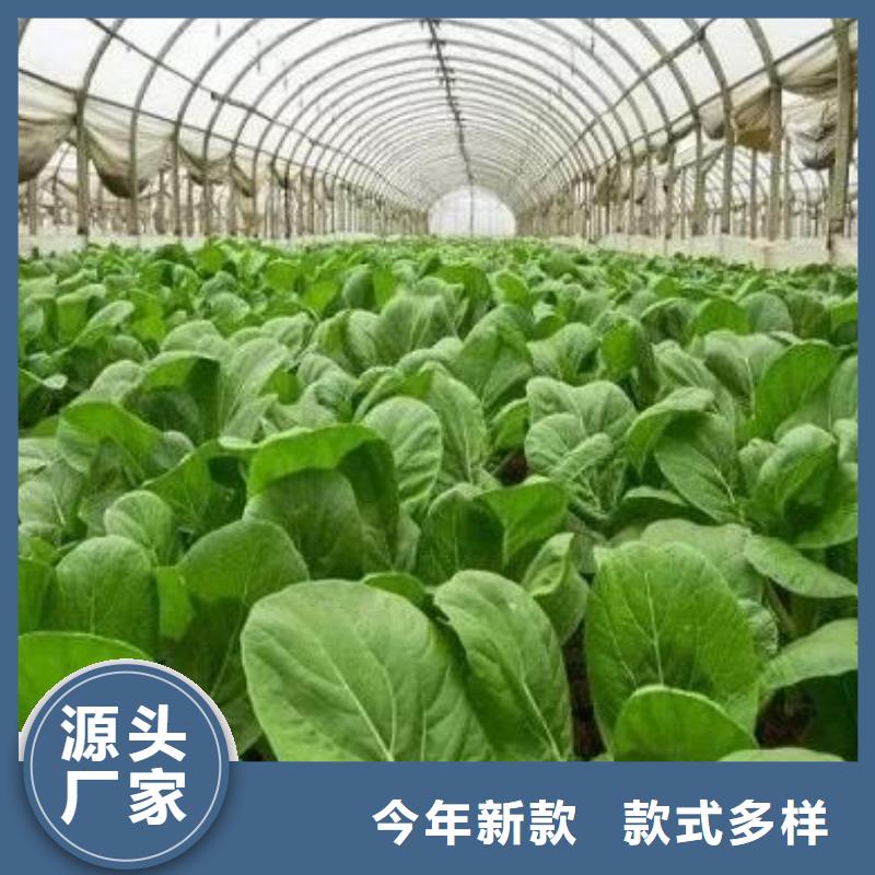 肥水鸡粪是农家宝