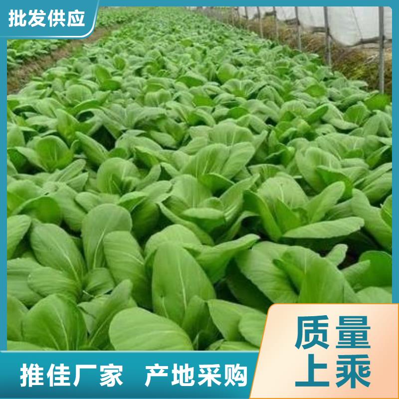 稻壳鸡粪促花保果