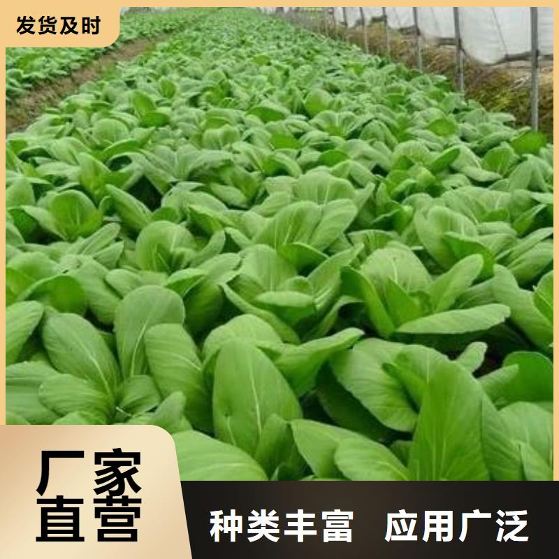 发酵羊粪销售价格