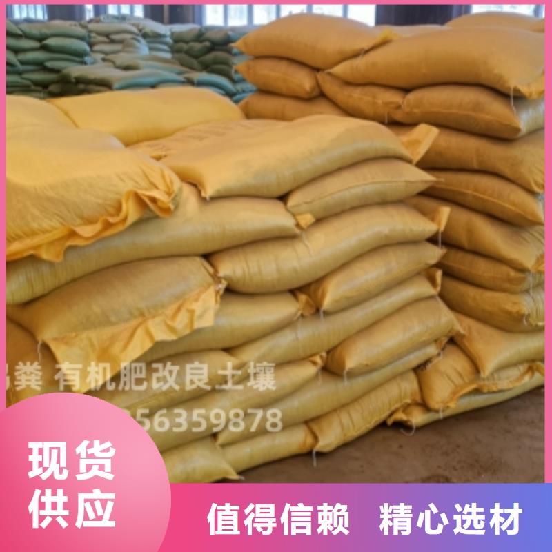 干鸡粪市场在哪里