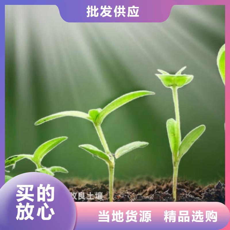 羊粪有机肥新价格