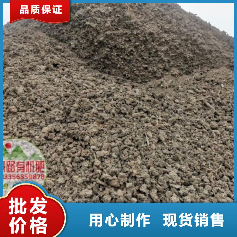 肥水鸡粪增加黄瓜产量
