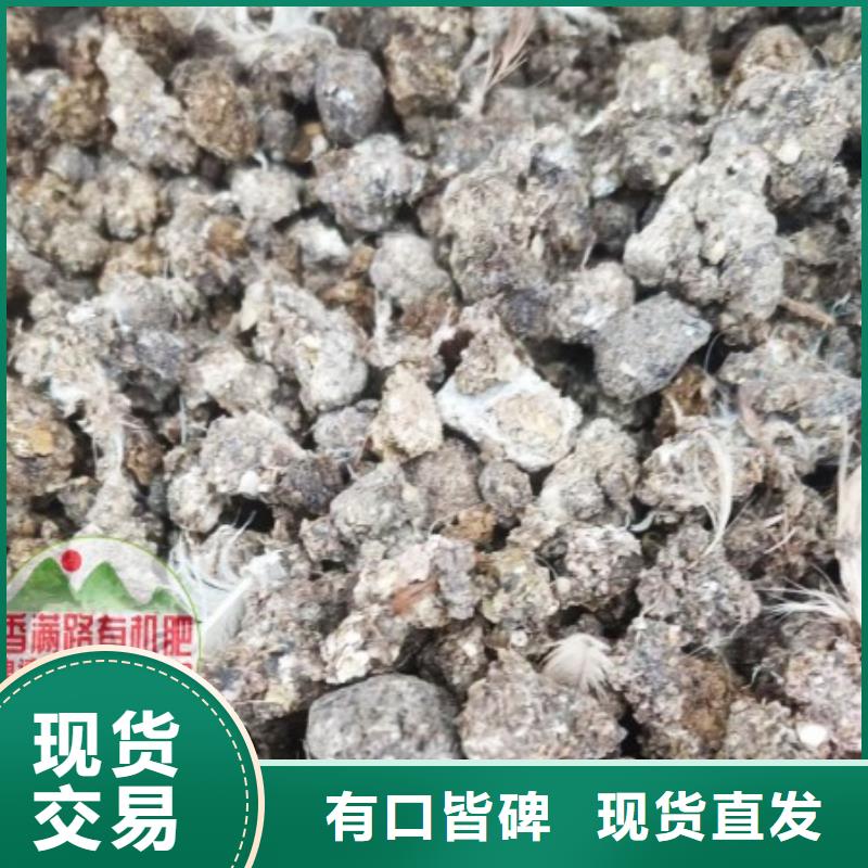 晒干鸡粪园林绿化用着好