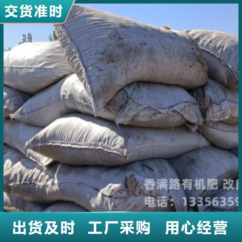 肥水鸡粪增加黄瓜产量