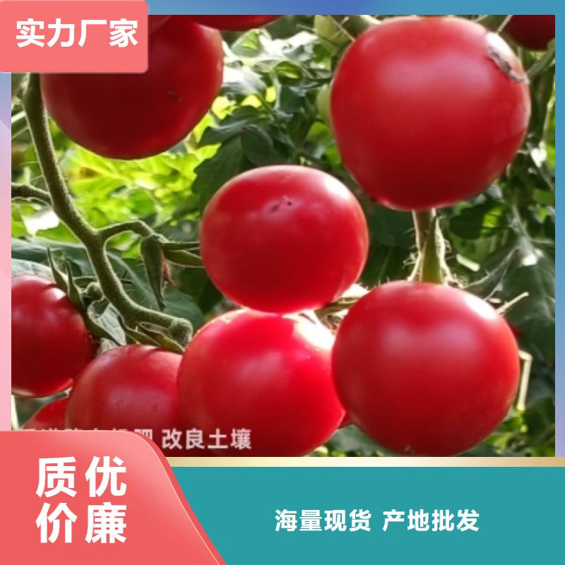 【鸡粪免费获取报价】