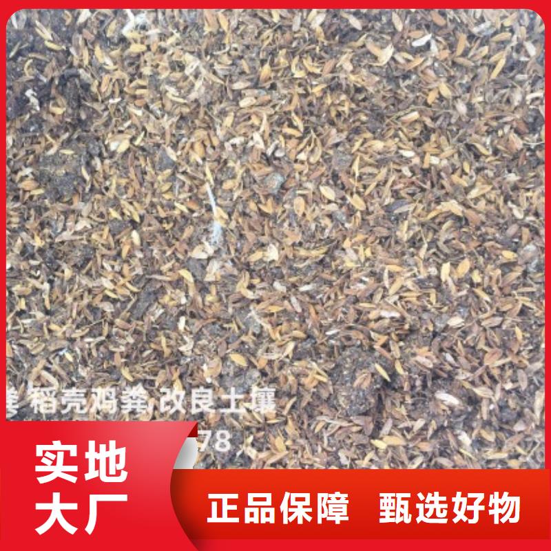 发酵鸡粪肥沃耕地都说好