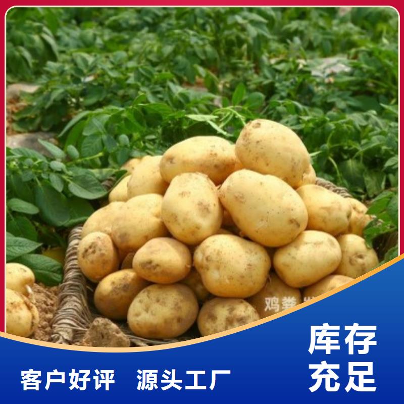 稻壳鸡粪养苗生根