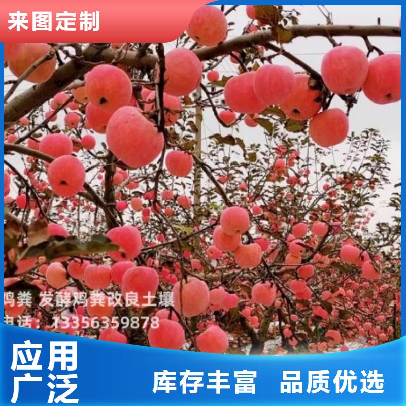 发酵羊粪庄稼产量高