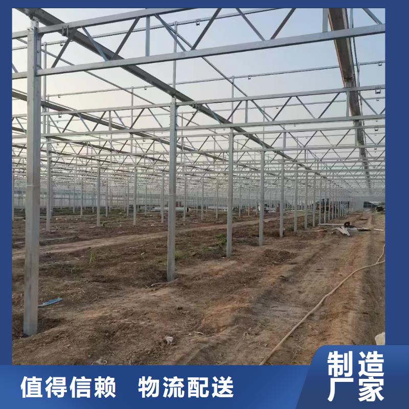 温室大棚暖棚厂家现货批发