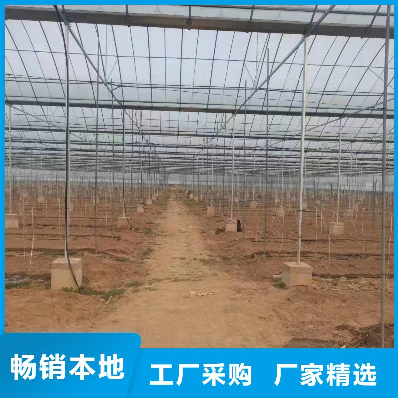 温室大棚猪舍钢结构加工一个起售