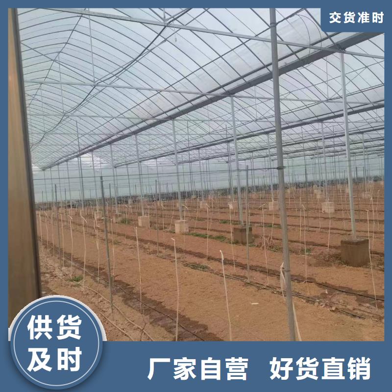 温室大棚猪舍钢结构加工一个起售