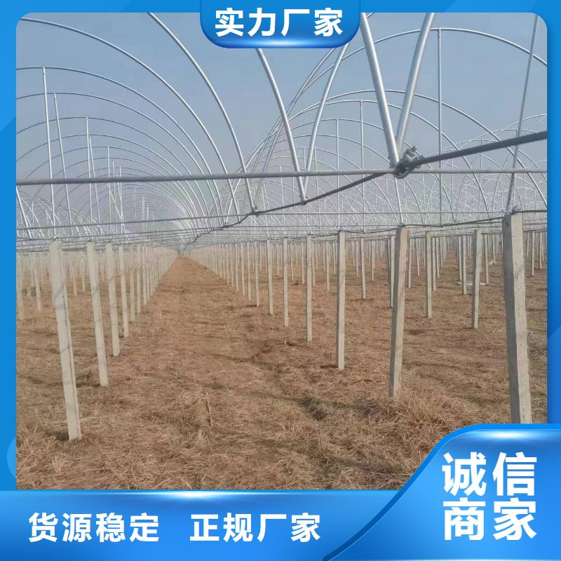 温室大棚暖棚厂家现货批发