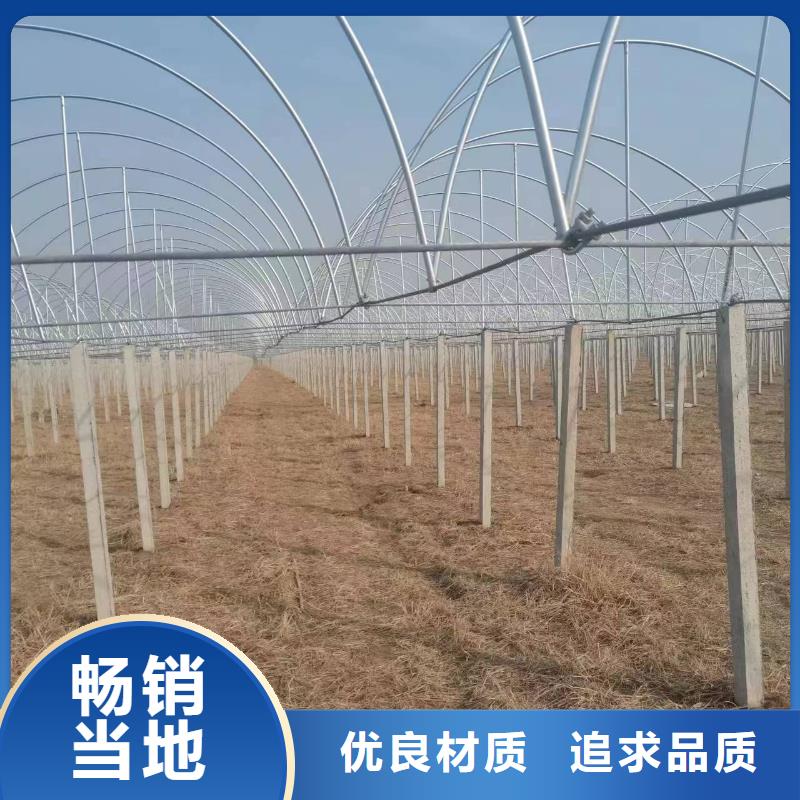 温室大棚猪舍钢结构加工一个起售