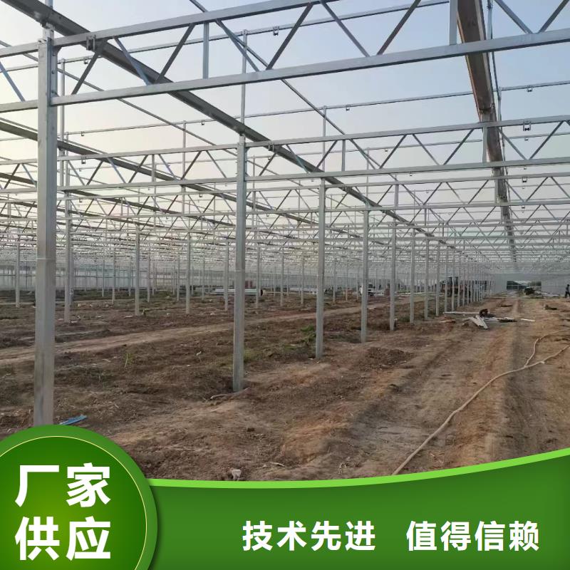 温室大棚暖棚厂家现货批发
