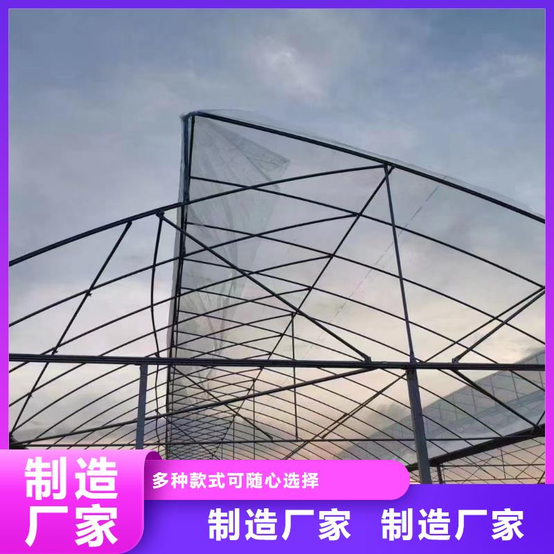 蓝莓避雨棚热镀锌安装