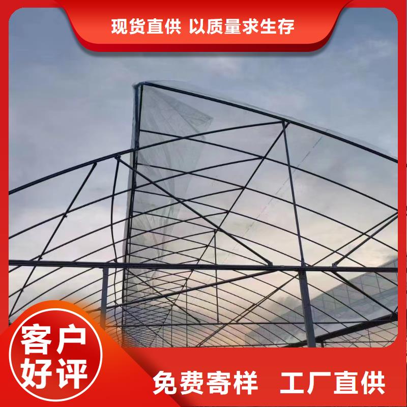 温室大棚暖棚厂家现货批发