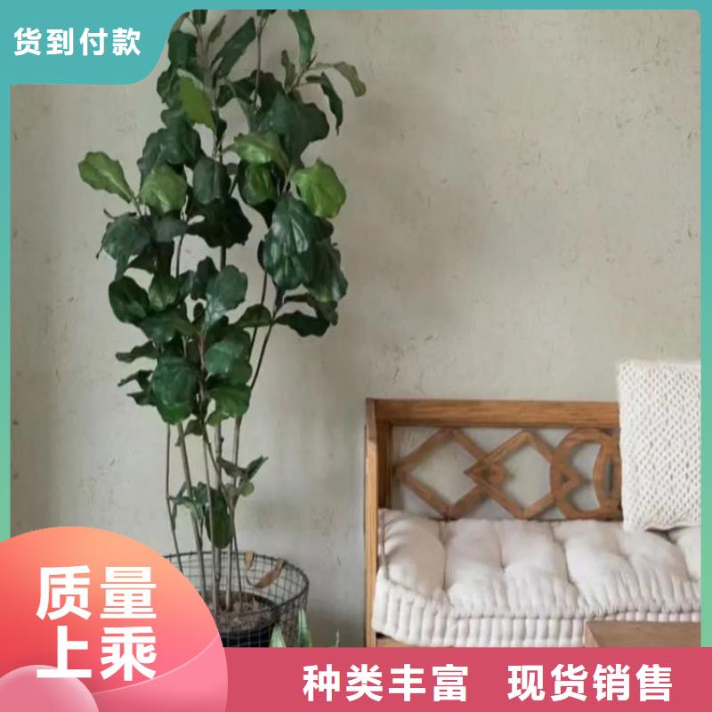 民宿改造稻草漆厂家批发,质优价廉,承接工程
