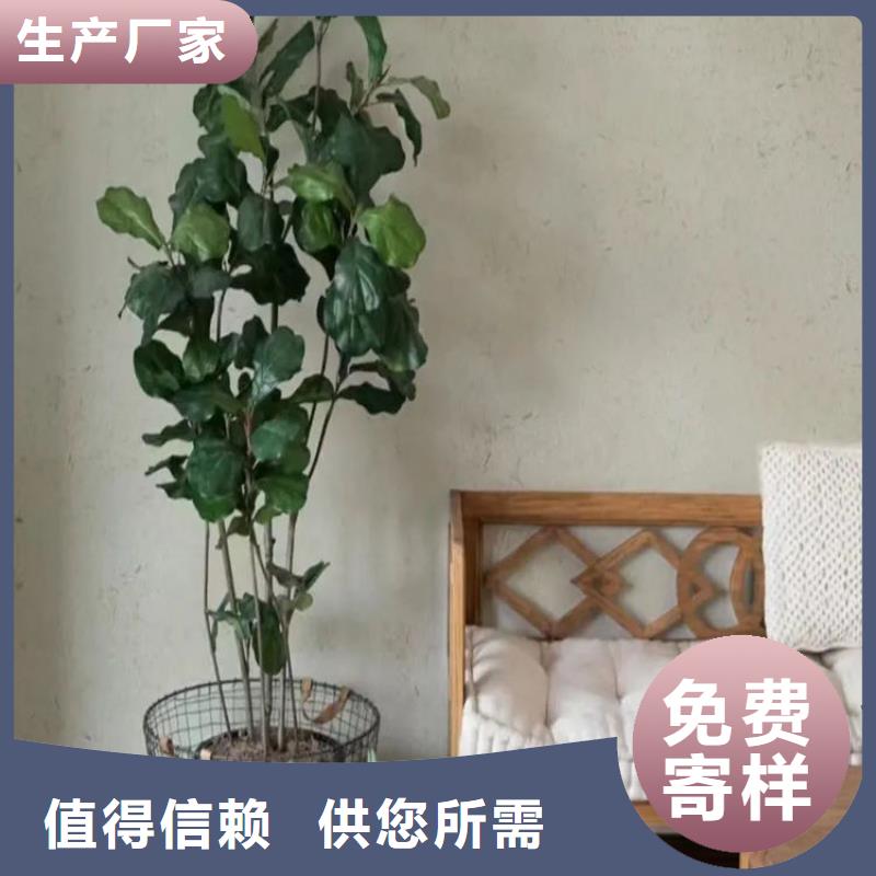 生态稻草漆批发价格