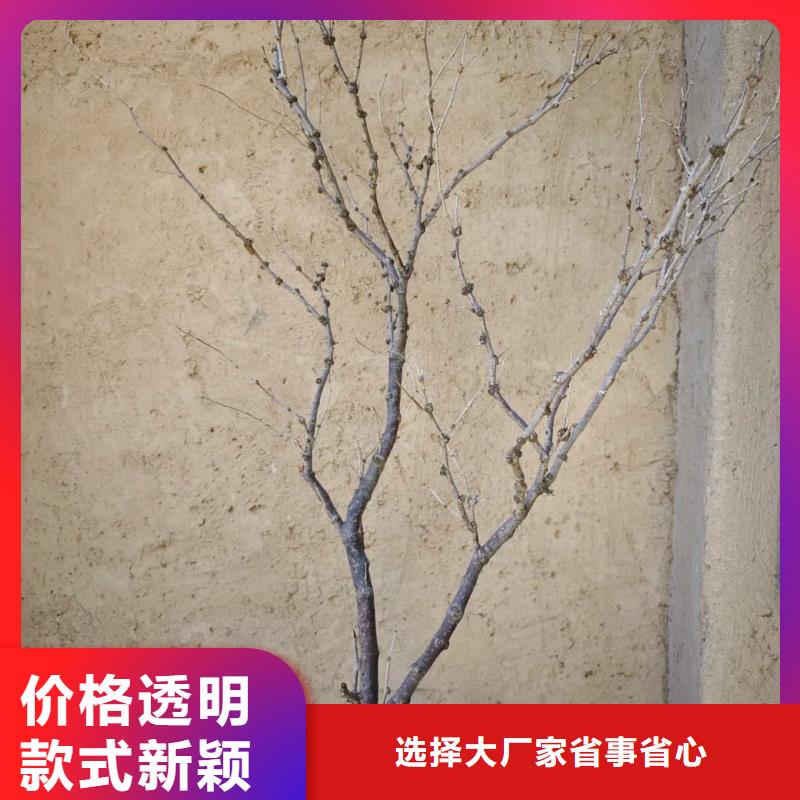 农家小院，乡村建设，民宿改造，仿夯土漆全包施工