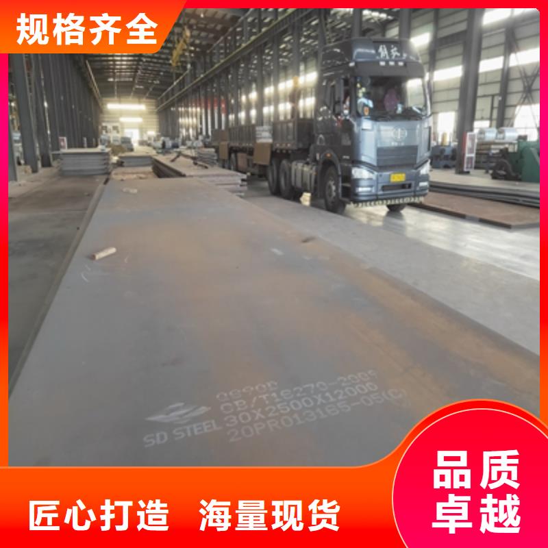 BST700L汽车钢板实体大厂